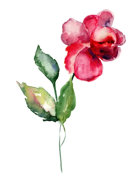 红玫瑰鲜花，水彩插画 — 图库照片