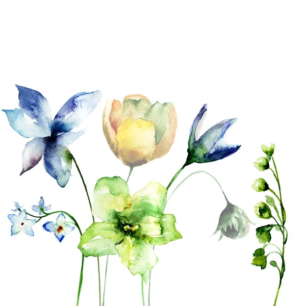 Dekorative Wildblumen — Stockfoto