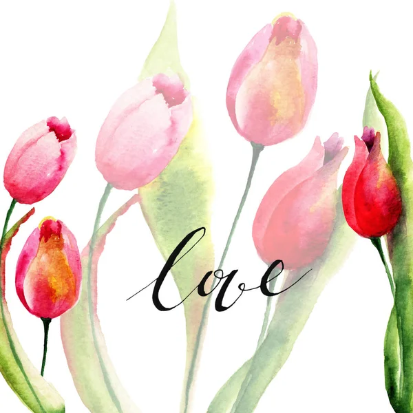 Акварель ілюстрація тюльпани квіти — стокове фото