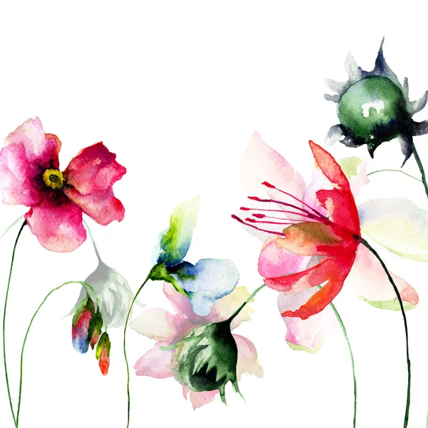 Dekorative Wildblumen Aquarell Illustration — Stockfoto