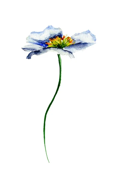 Πρωτότυπο μπλε λουλούδι — Φωτογραφία Αρχείου