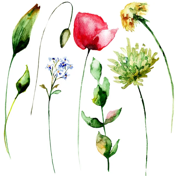 Set original aquarelle fleurs de printemps — Photo