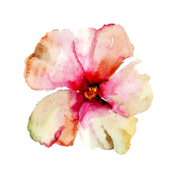 Originele florale achtergrond met bloem — Stockfoto