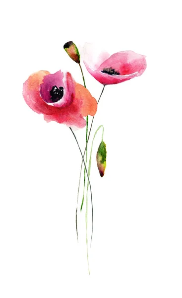 Template for card with Poppy flowers — Stock Photo, Image