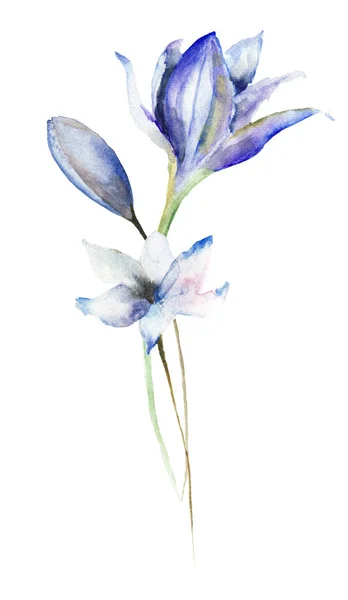 Dekoracyjne kwiaty fioletowe — Zdjęcie stockowe