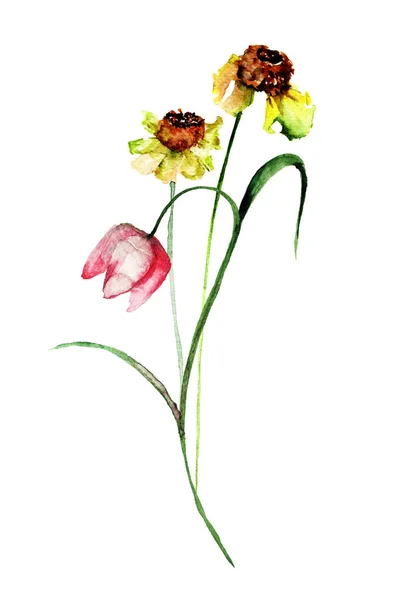 Ρομαντικό λουλούδια, ζωγραφική με νερομπογιές — Φωτογραφία Αρχείου