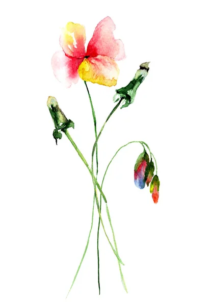Šablona pro kartu s květinami, akvarel, ilustrace — Stock fotografie