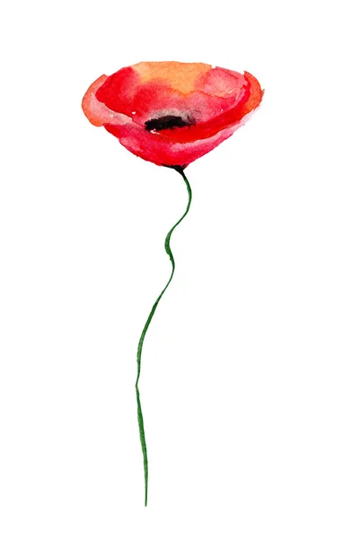 Ozdobny kwiat maku — Zdjęcie stockowe