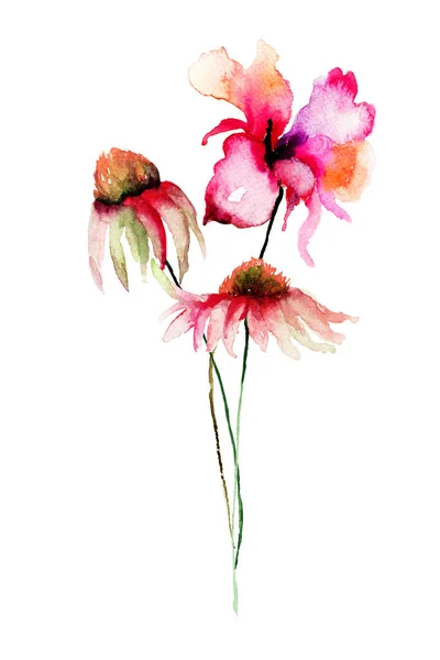 Шаблон для открытки с цветами Гербер и Поппи — стоковое фото