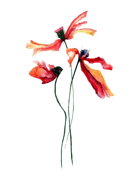 Αρχικό floral φόντο με παπαρούνες λουλούδια — Φωτογραφία Αρχείου