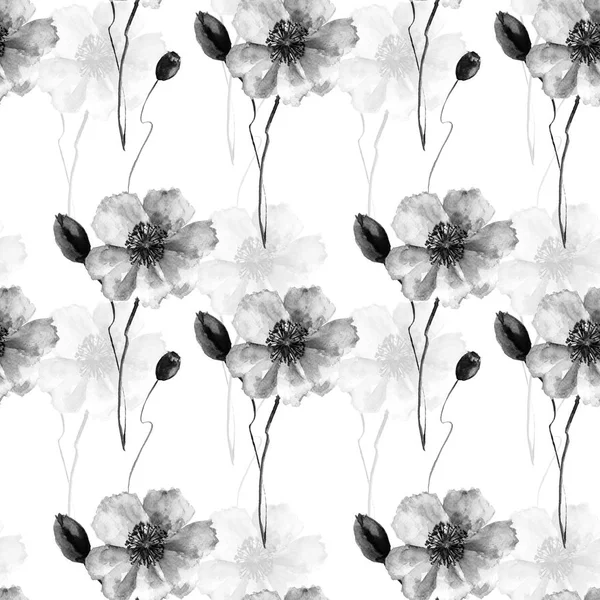 单色无缝图案与非洲菊和罂粟花朵 — 图库照片
