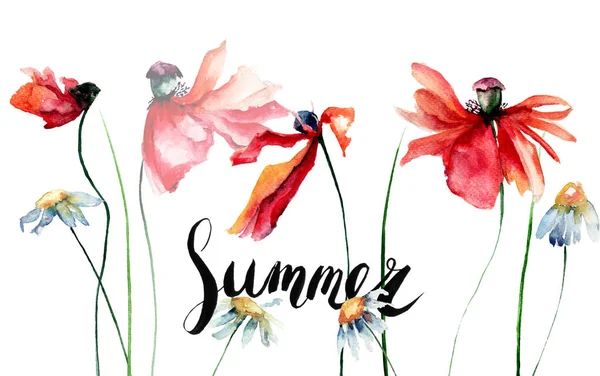 Original blommig bakgrund med vallmo och kamomill blommor — Stockfoto