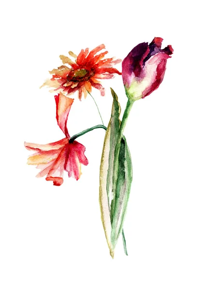 Fond floral original avec des fleurs de pavot et de tulipe et de gerber — Photo