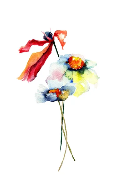 Manzanillas y flores de amapola — Foto de Stock