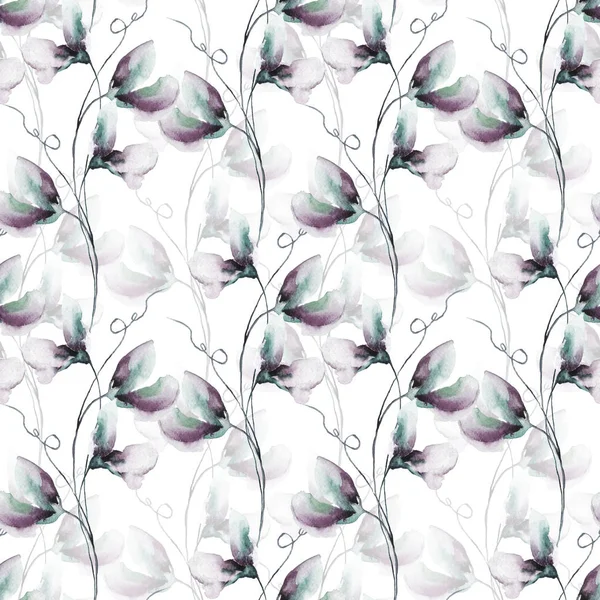 Άνευ Ραφής Ταπετσαρία Γλυκό Μπιζέλι Λουλούδια Ακουαρέλα Εικονογράφηση — Φωτογραφία Αρχείου
