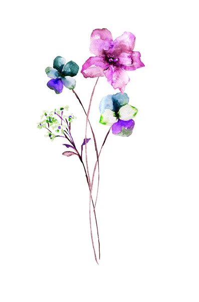 Акварельная Иллюстрация Красивого Дикого Цветка — стоковое фото