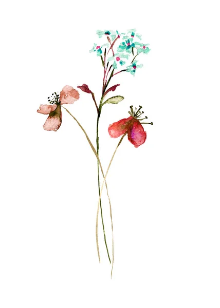 Stylized Flowers Watercolor Illustratio — Stock Photo, Image