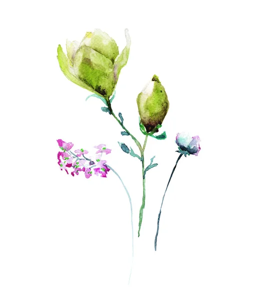 Prachtige Zomerbloemen Aquarel Illustratio — Stockfoto