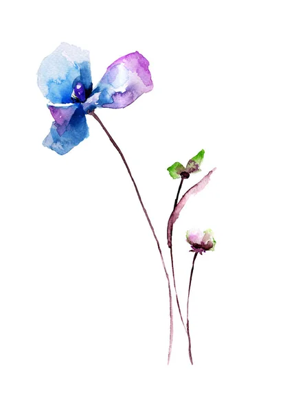 Stiliserade Blommor Akvarell Illustratio — Stockfoto
