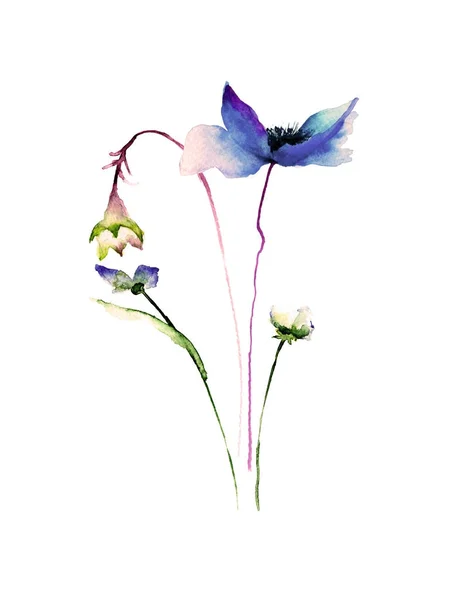 Güzel Yaz Çiçek Sulu Boya Illustratio — Stok fotoğraf