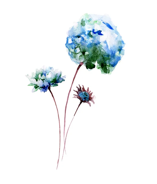 Piękny kwiat hortensji — Zdjęcie stockowe