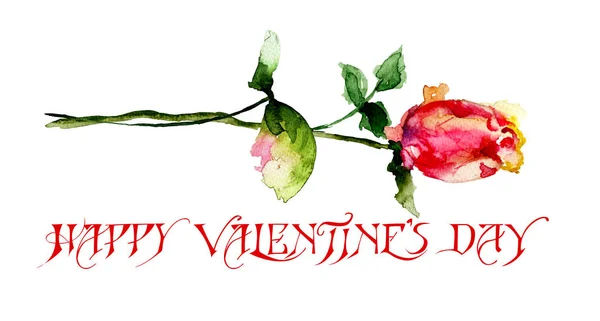 Vacker ros blomma med titeln Happy Valentine s day — Stockfoto