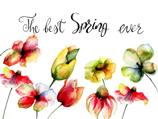 Lindas Flores Com Título Melhor Primavera Sempre Watercolor Illustratio — Fotografia de Stock