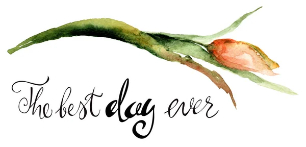 Gul tulpan blommor med titeln den bästa dagen någonsin — Stockfoto