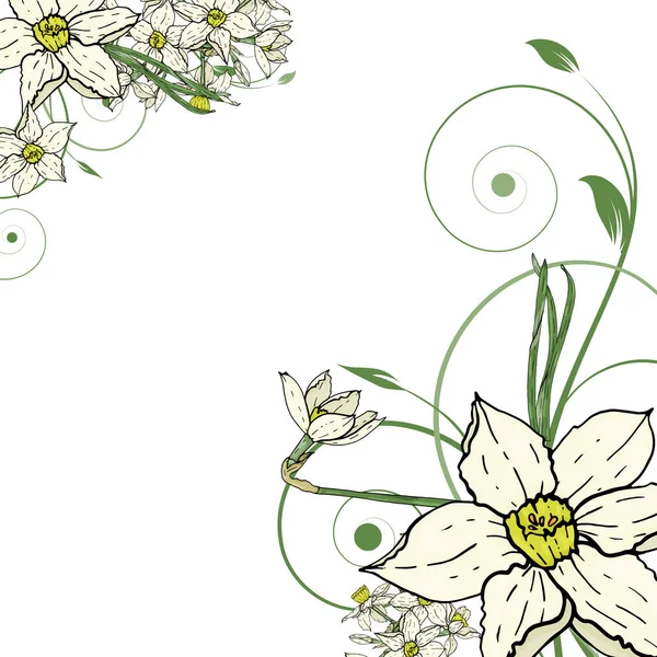 Hand Zeichnung Narzissen Blumen Hintergrund. — Stockvektor