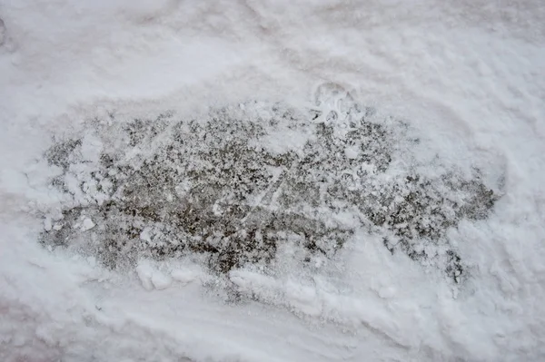 Snow Surface Background Close — Stock Photo, Image