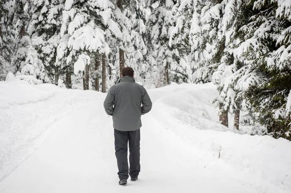 Dospělý Muž Lese Sněhu — Stock fotografie
