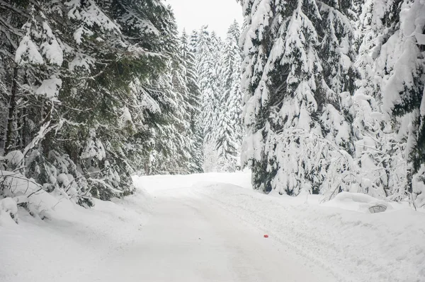Inverno Neve Strada Attraverso Foresta Abeti — Foto Stock