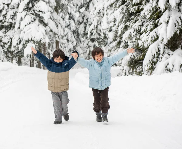 Chłopcy Pieszo Snowy Kraju Dróg Leśnych — Zdjęcie stockowe