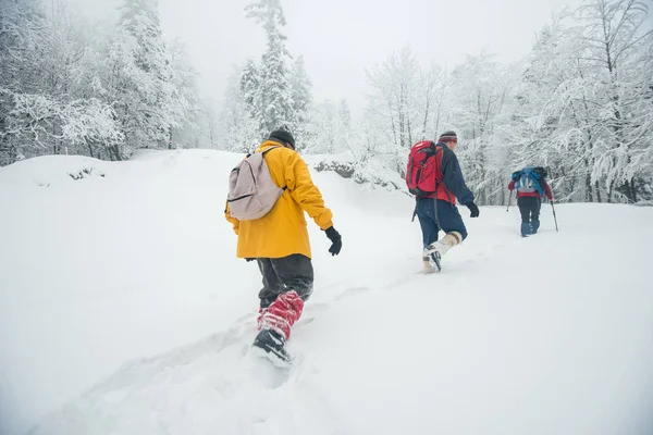 Trekking Aventura Montaña Durante Nieve Invierno — Foto de Stock