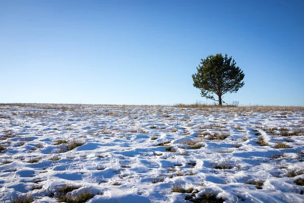 ボスニア ヘルツェゴビナでの冬の牧草地 — ストック写真
