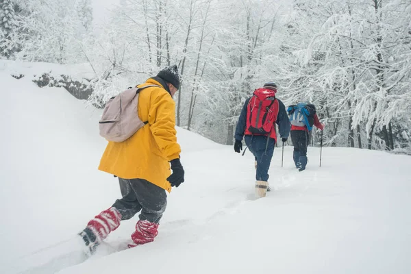 Kışın Kar Sırasında Dağ Içine Trekking Macera — Stok fotoğraf