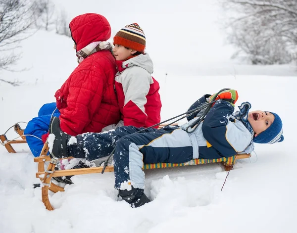 Happy Playful Kid Sledding Snow — Stock Photo, Image