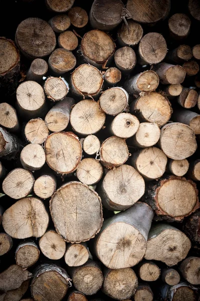 Holzstapel Für Winterheizung Bereit — Stockfoto