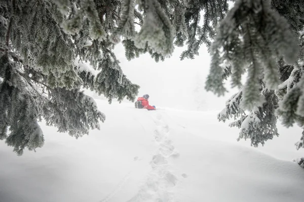 Winter Sneeuw Bergbos — Stockfoto