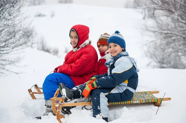 Feliz Niño Juguetón Trineo Nieve — Foto de Stock