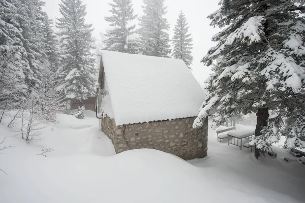 Montaña Invierno Nieve Bosque — Foto de Stock
