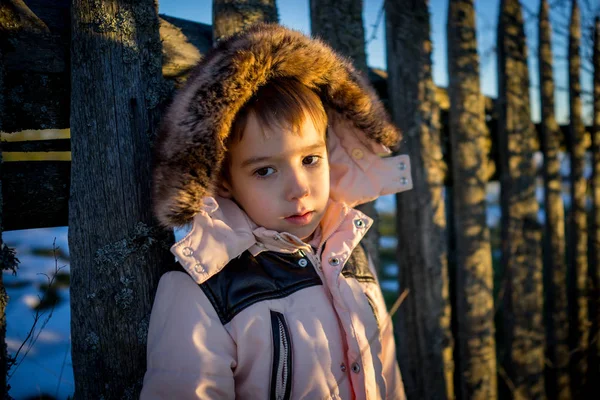 Little Boy Snow Next Wooden Country Fence Royalty Free Stock Photos