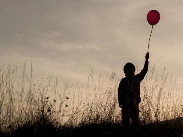 Young Boy Silhouette Landspace Sunset — Stock Photo, Image