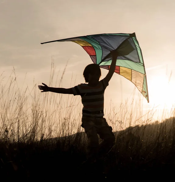 在田里放风筝的男孩 — 图库照片