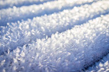 Buz gibi kar, güzel yüzey.