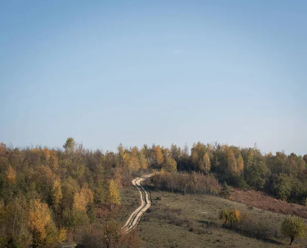 有树木和森林的秋天风景 — 图库照片