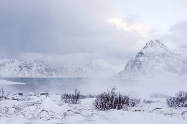 Foggy Montagne Dans Nature Nordique Nord — Photo