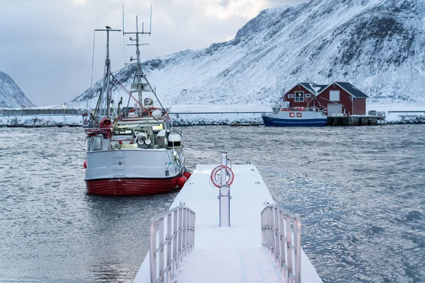 Bellissimo Lofoten Scandinavo Settentrionale Inverno — Foto Stock