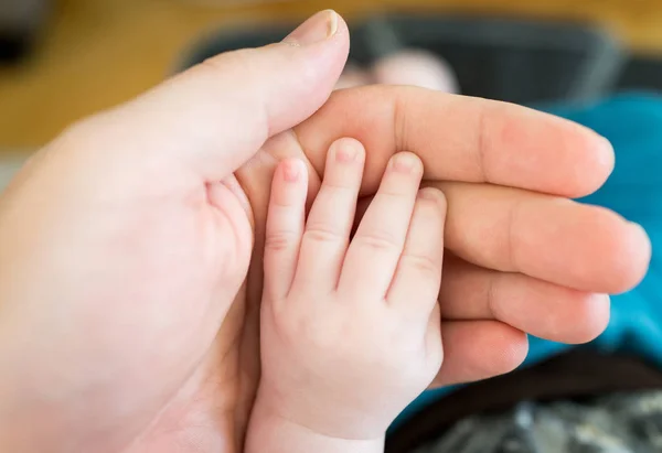 小さな赤ちゃんの手を持つ親 — ストック写真
