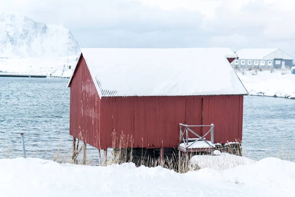 Bellissimo Lofoten Scandinavo Settentrionale Inverno — Foto Stock